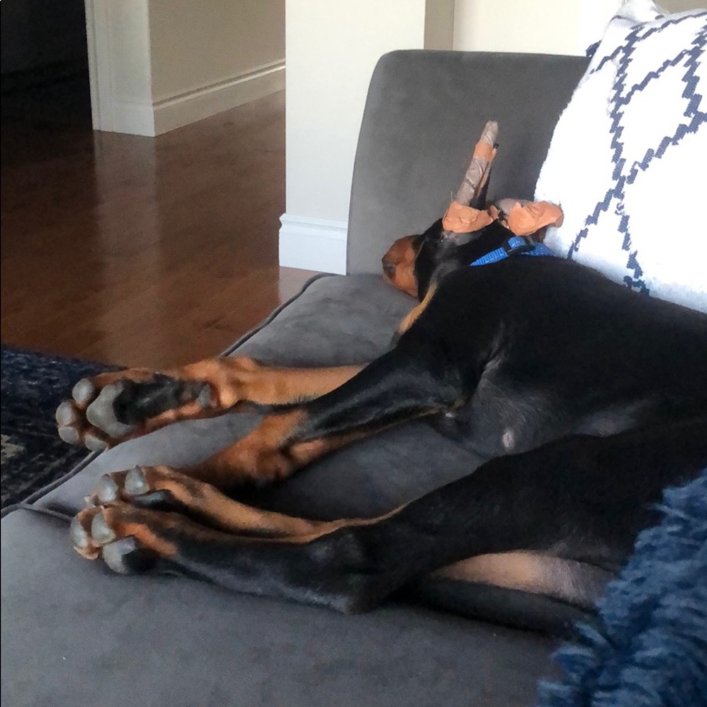 Meet your Posher, Mychal